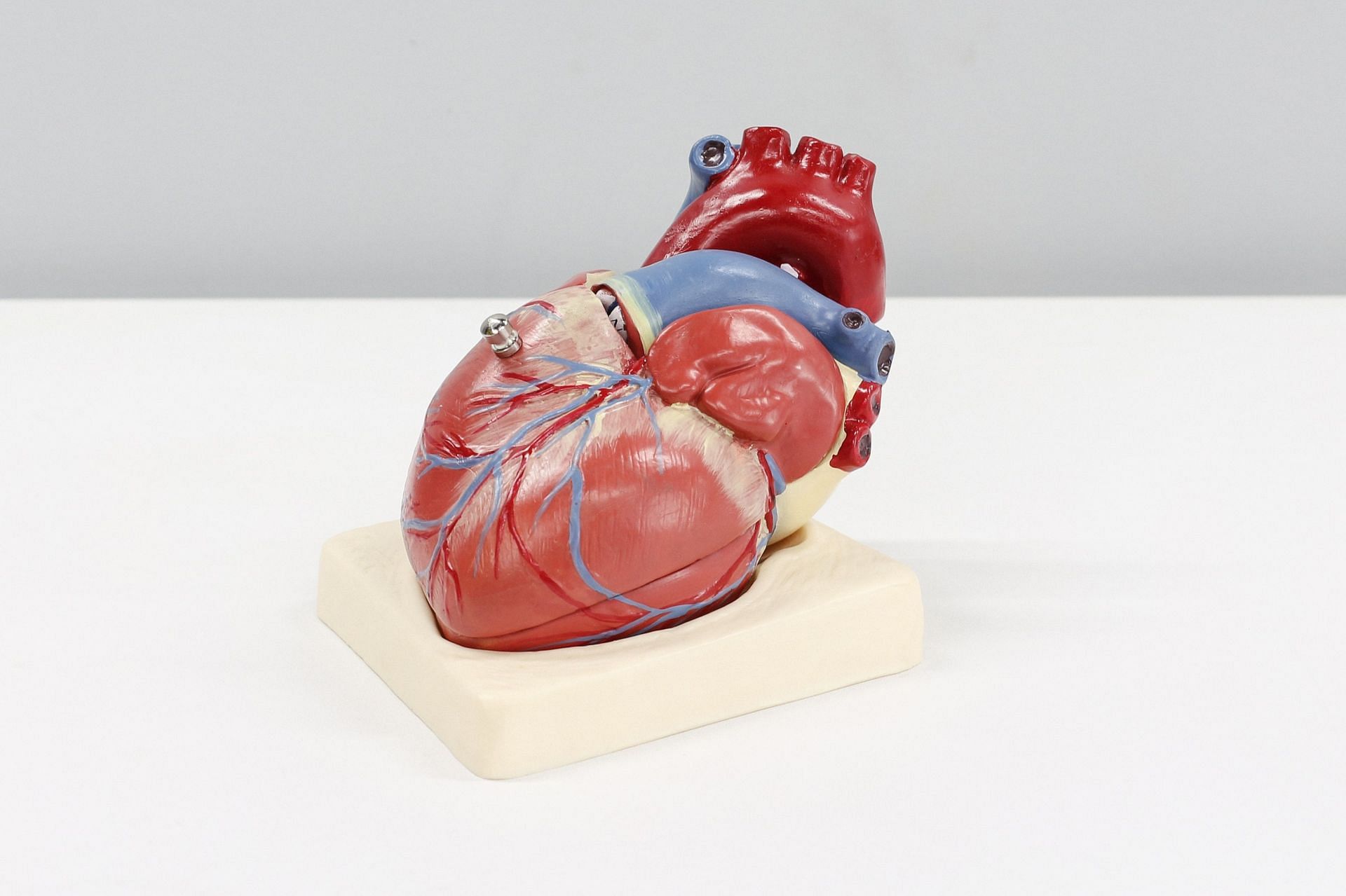 Improves heart health (Image via Unsplash/Ali H)